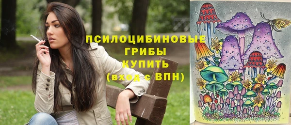 твердый Карпинск